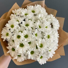 Хризантема кустовая, Дизайнерская упаковка