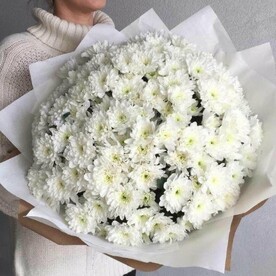 Хризантема кустовая, Дизайнерская упаковка