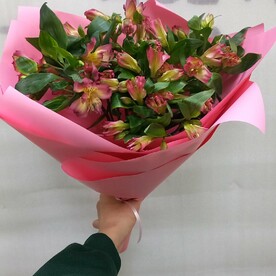 Альстромерия, Дизайнерская упаковка