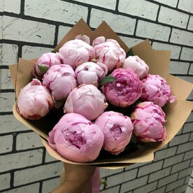 13 розовых пионов