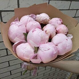 11 розовых пионов