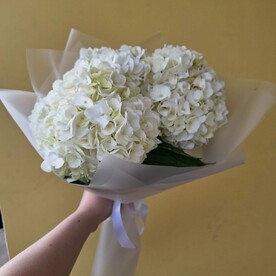 Гортензия, Дизайнерская упаковка