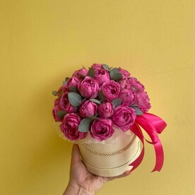 Роза мисти бабблс, Шляпная коробка