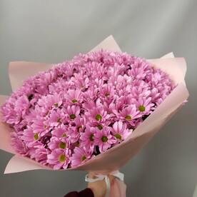 Хризантема кустовая, Авторская упаковка