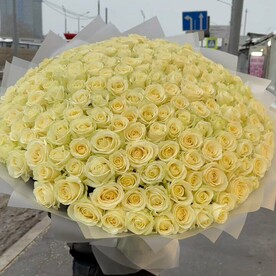 151 белая роза 60см
