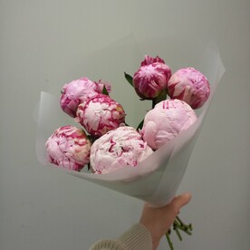 7 пионов