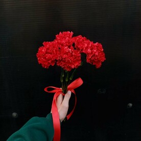 5 красных гвоздик