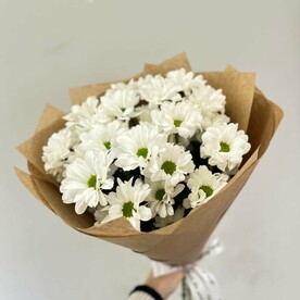 Хризантема кустовая, Крафт