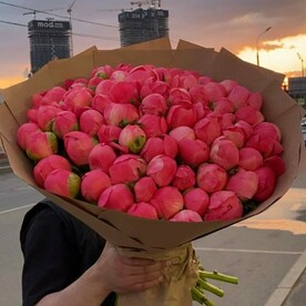 Букет коралловых пионов ❤️