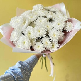 Хризантема кустовая, Дизайнерская упаковка