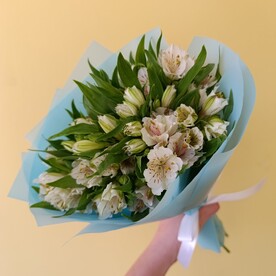 Букет из 15 белых альстромерий