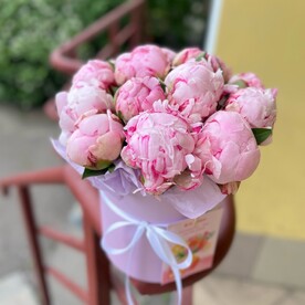 Коробка розовых пионов
