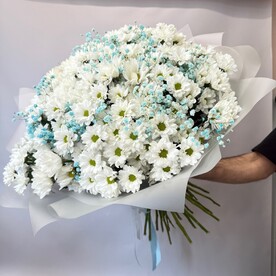 Огромный букет кустовых хризантем с гипсофилой
