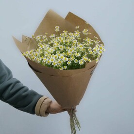 Букет ромашек