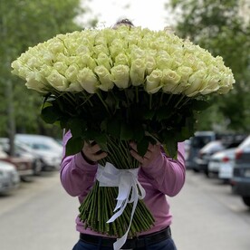 Роза
