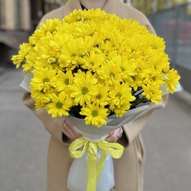 Хризантема кустовая, Пленка матовая
