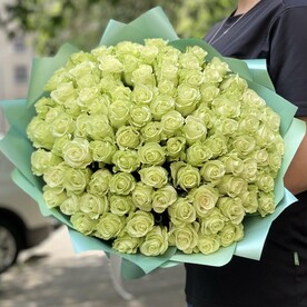 Роза одноголовая, Пленка матовая