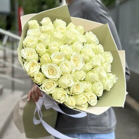 Роза одноголовая, Пленка матовая