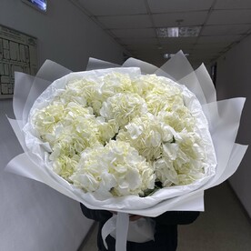 Гортензия Гидрангия, Дизайнерская упаковка, Тишью, Открытка