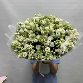 Эустома Голландия