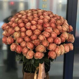 Эквадорская роза