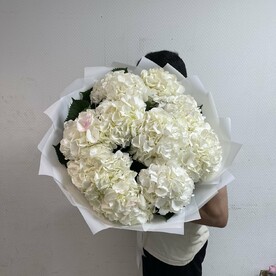 Нежное облако ( Гортензия )
