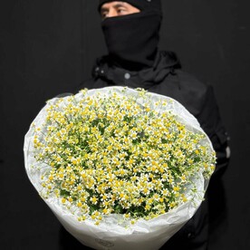 Пышный букет из полевых ромашек