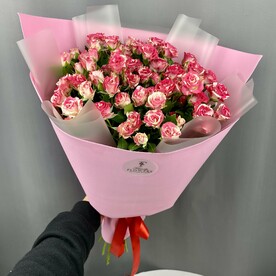Роза кустовая, Пистация, Пленка матовая