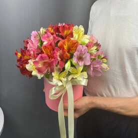 Шляпная коробка из альстромерии микс