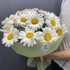 Букет из 15 ромашек крупных