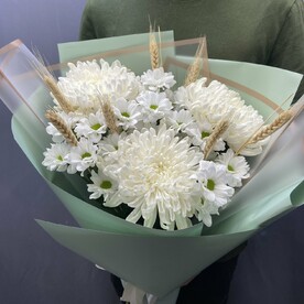 Хризантема кустовая, Хризантема, Пшеница, Пленка дизайнерская