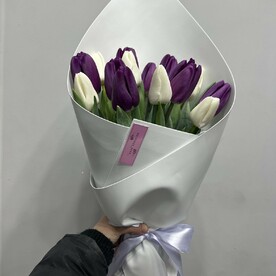 Тюльпан