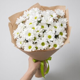 Букет живых цветов из 9 белых хризантем | арт: 926