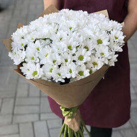 Букет живых цветов из 25 белых хризантем | арт: 927
