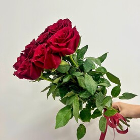 Букет живых цветов из 9 красных роз, Эквадор, 50 см