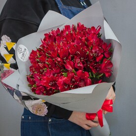 Букет живых цветов из 19 красных альстромерий | арт: 397