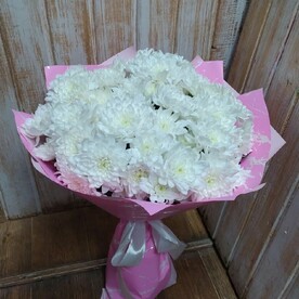 Хризантема кустовая, Дизайнерская упаковка