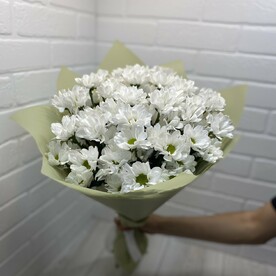 Хризантема бакарди, Дизайнерская упаковка
