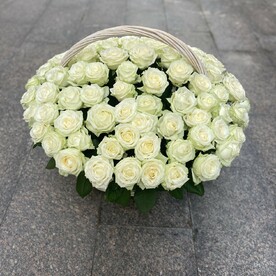Роза аваланч, Оазис, Корзина