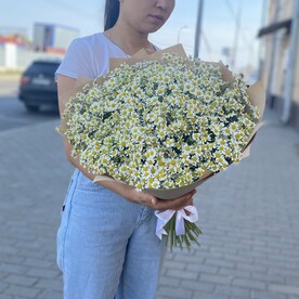 Ромашка, Крафт