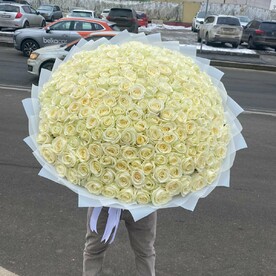 Роза аваланч, Дизайнерская упаковка