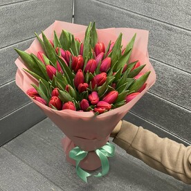 Красный тюльпан на 8-марта