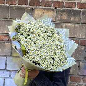 Ромашка кустовая