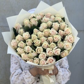 Роза талея 49