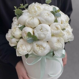 Пион, Эвкалипт, Оазис, Коробка