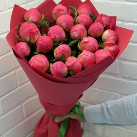 Коралловый пион в красном