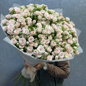 Кустовая роза Лидия