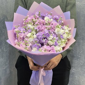 Маттиола микс 15
