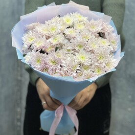 Хризантема кустовая нежно розовая