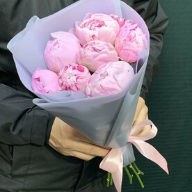 Розовый пион в матовой упаковке